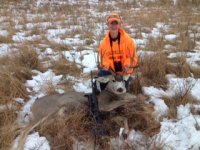 2013 mule deer.JPG