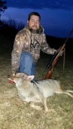 4-7-15 Coyote.jpg