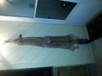 20150408_210311.jpg