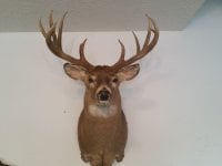 Nov 17 2009 my biggest whitetail.jpg