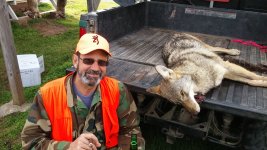 Coyote 2015.jpg