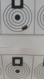 300wsm100yds.jpg