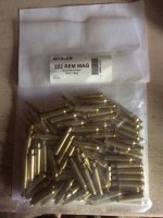 Nosler .222 Rem Mag Brass.jpg