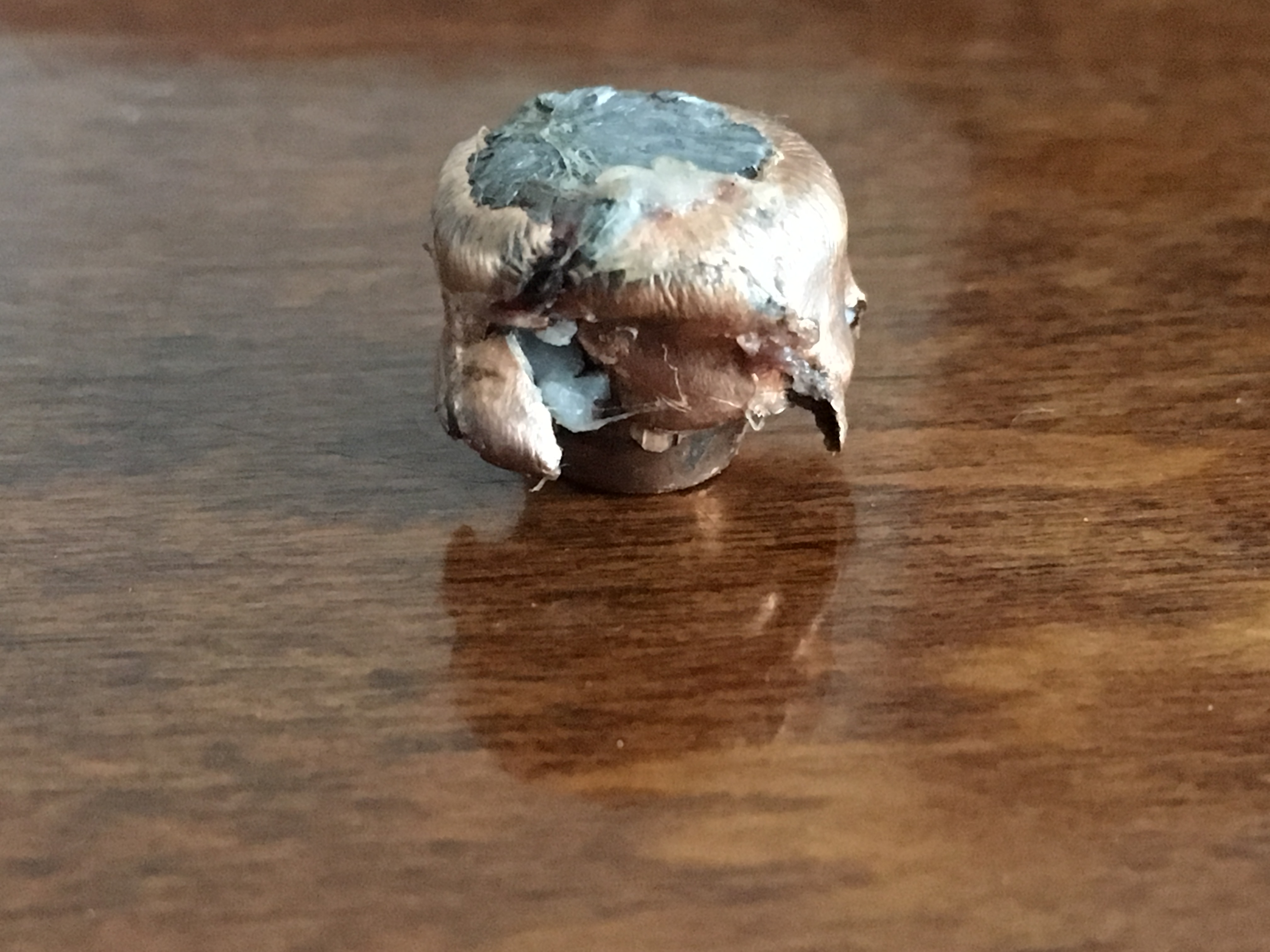 165 Ballistic Tip 2.JPG